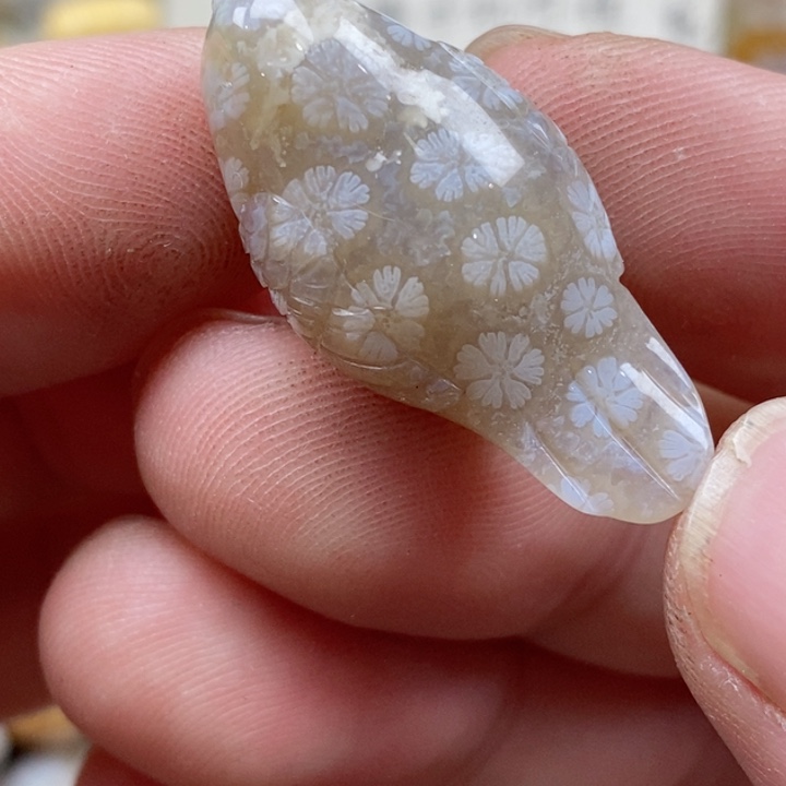 颈饰未镶嵌硅化珊瑚（珊瑚玉）小