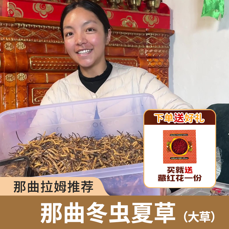 2025正宗西藏那曲头期冬虫夏草大草