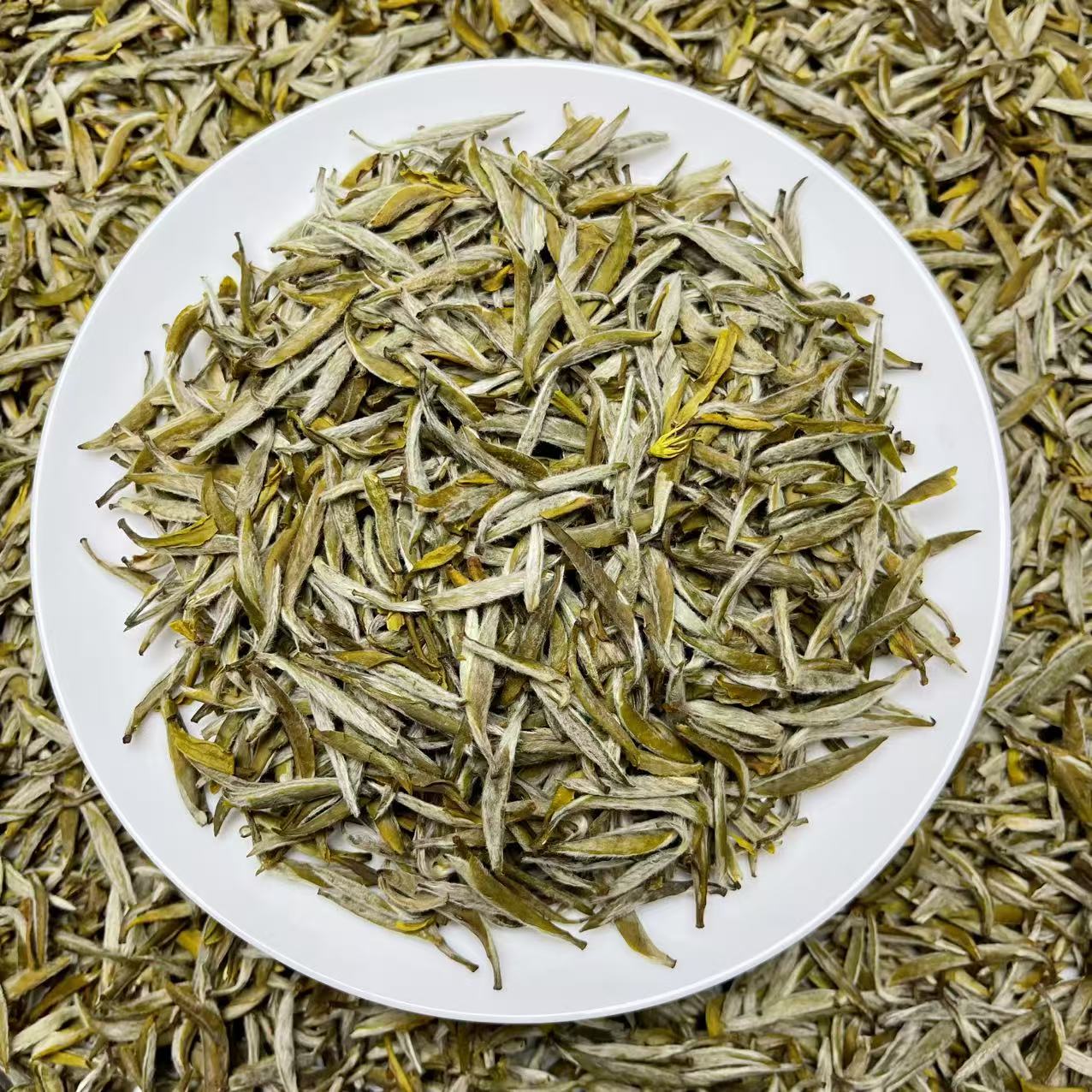 茉莉小米芽2025新茶头采高品质茉莉花茶8窨浓郁花香小米针