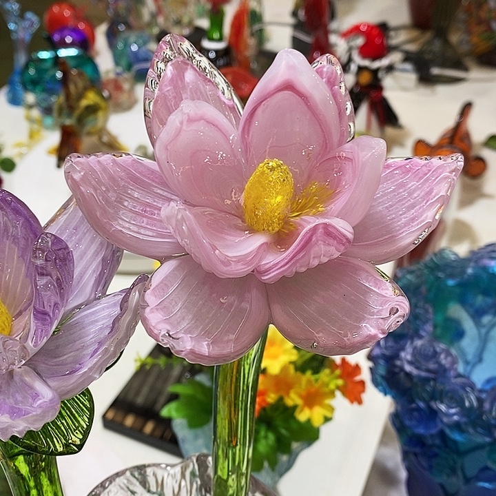 越***了荷花高45厘米宽10厘米