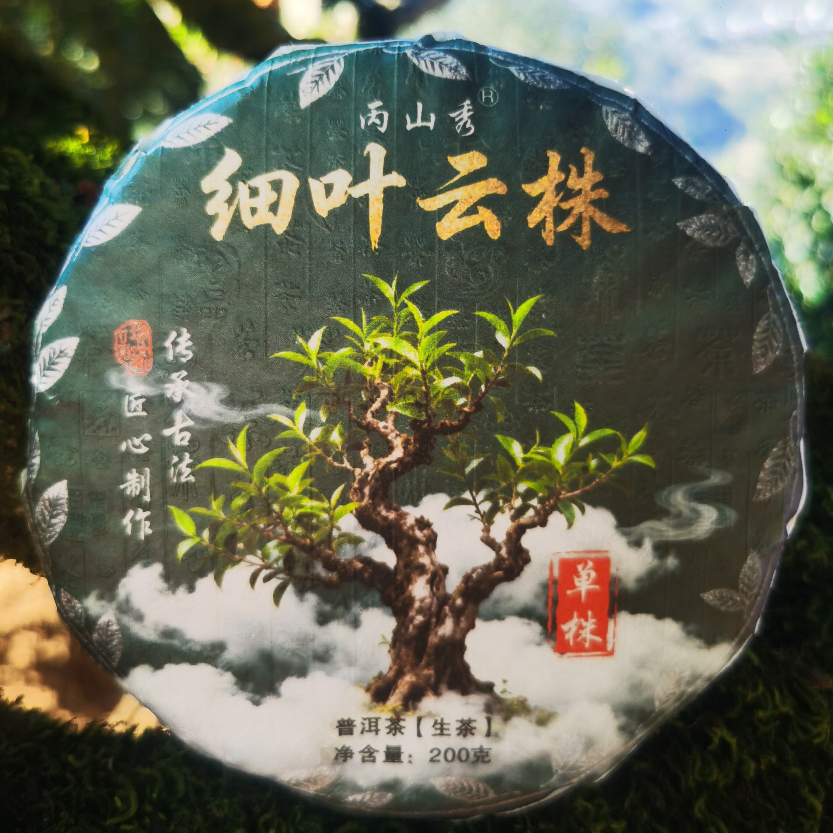 【支书严选1】雄辉2025细叶云株古树单株 饼茶