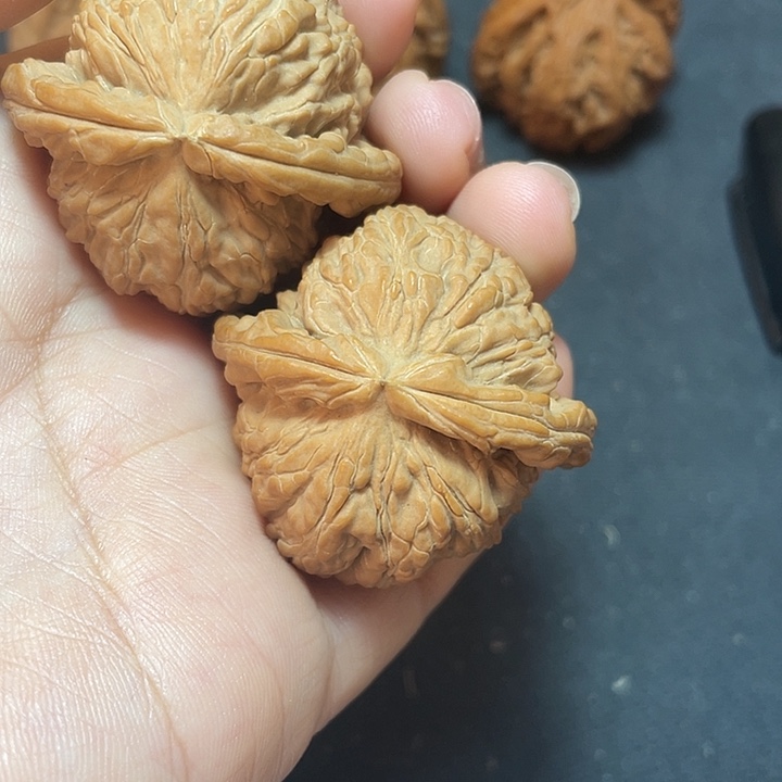 行***兄              白狮子