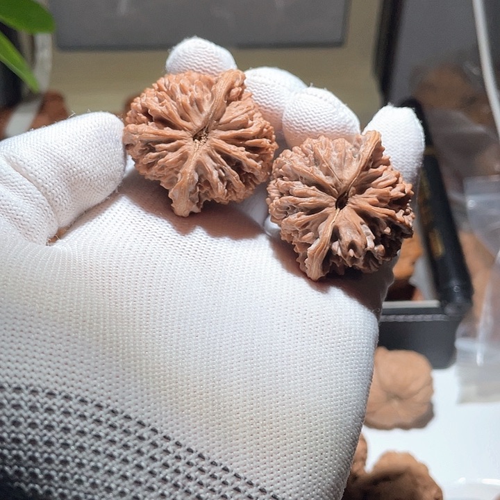 Z****N39全品百花山狮子头