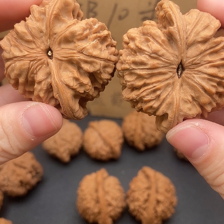 同***行大大大大大大官帽兜边