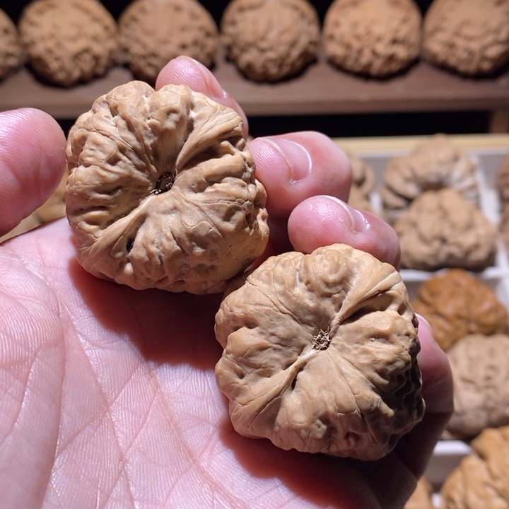 文玩核桃吊坠?****?古蝉37