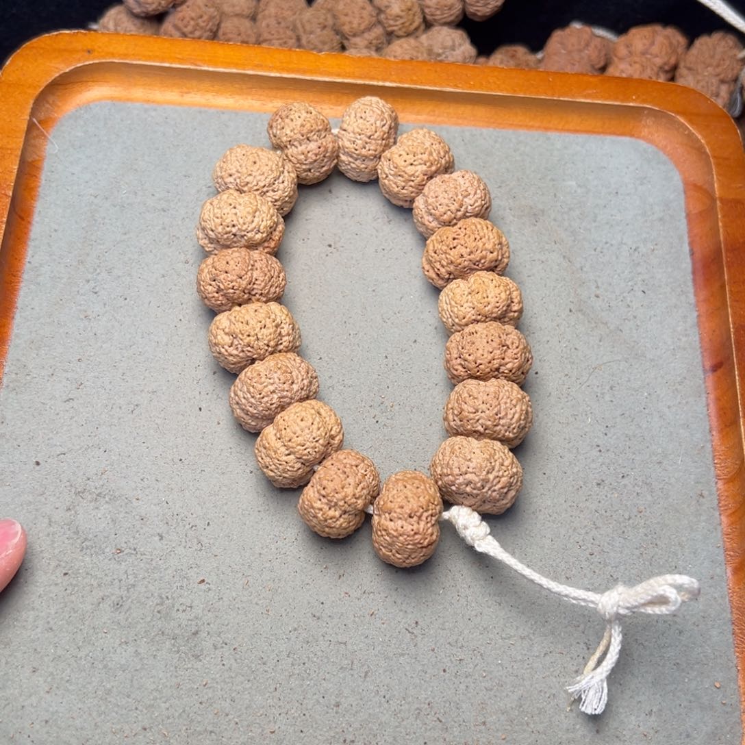 菩提32号金刚菩提夹板菠萝蜜22超头