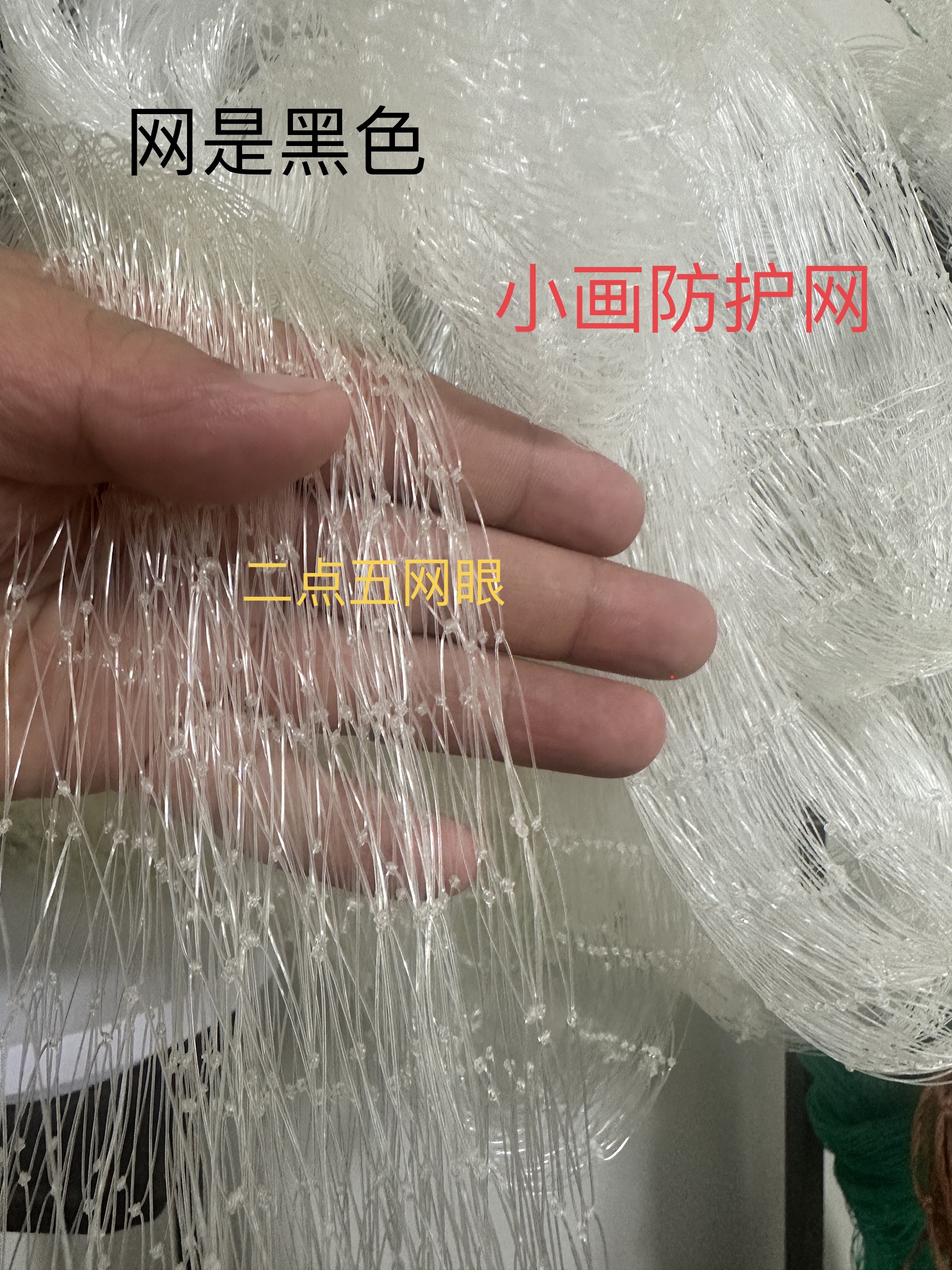 抖音直播间同款二点五网孔防护网