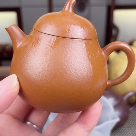 紫砂茶壶今天不知道