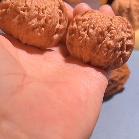 文玩核桃把件蝴蝶磨41.5