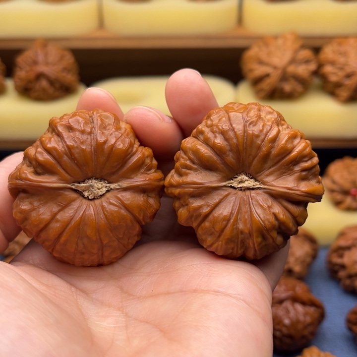 核桃45全品南瓜墩狮子头