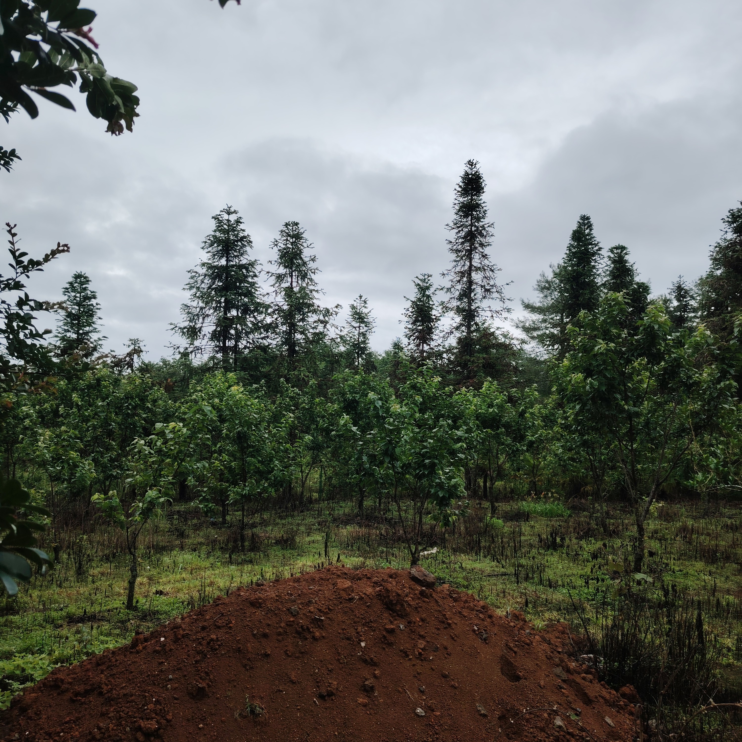 桌面摆件家居摆件