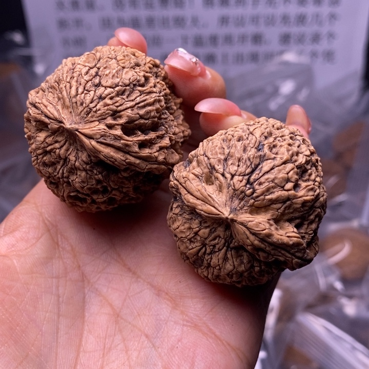 核桃云南野生铁核桃98号43
