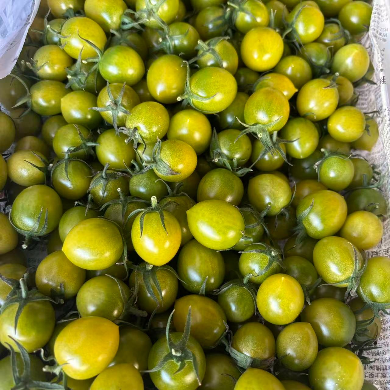 【鲜果速送】散称青甜绿色小千禧一斤黄千禧