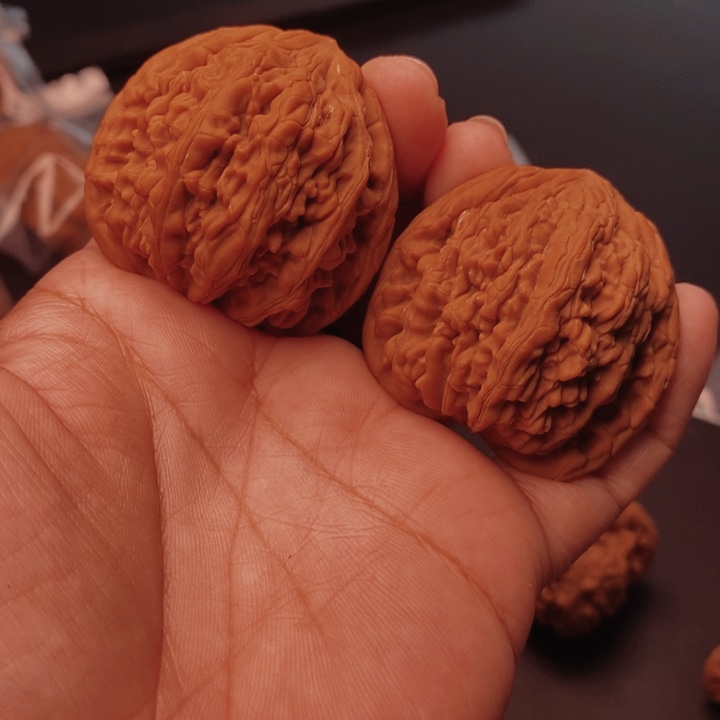 红***凰核桃虎头王44尺核桃
