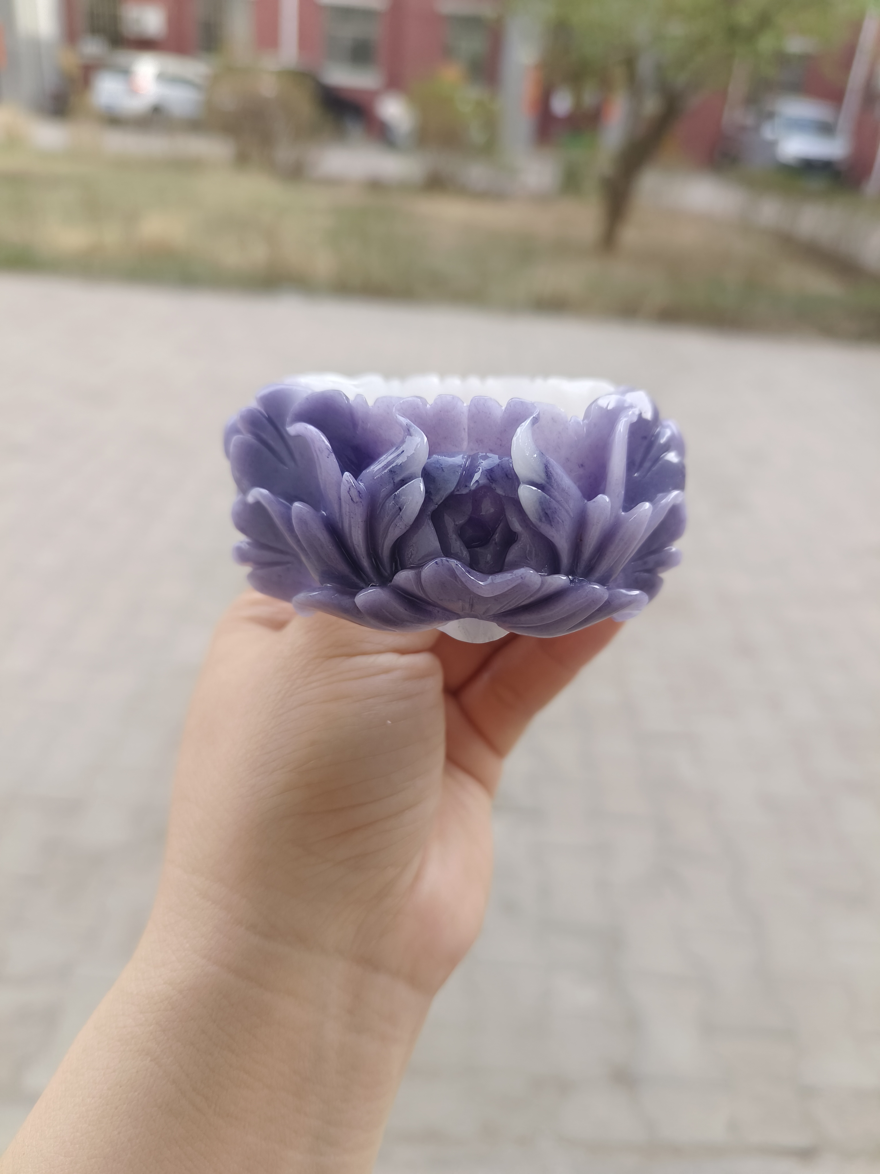 （防拍链接）佘太翠雕花浮雕精雕定制紫玉绿镯俏色镯子