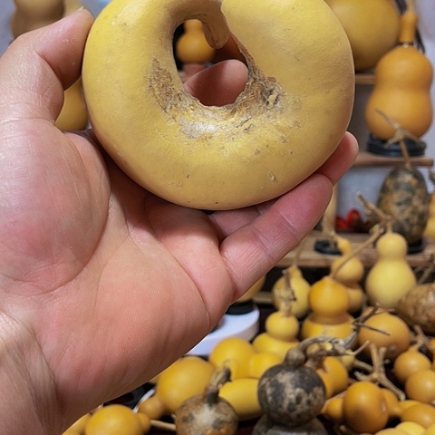 精品厚皮小八宝葫芦