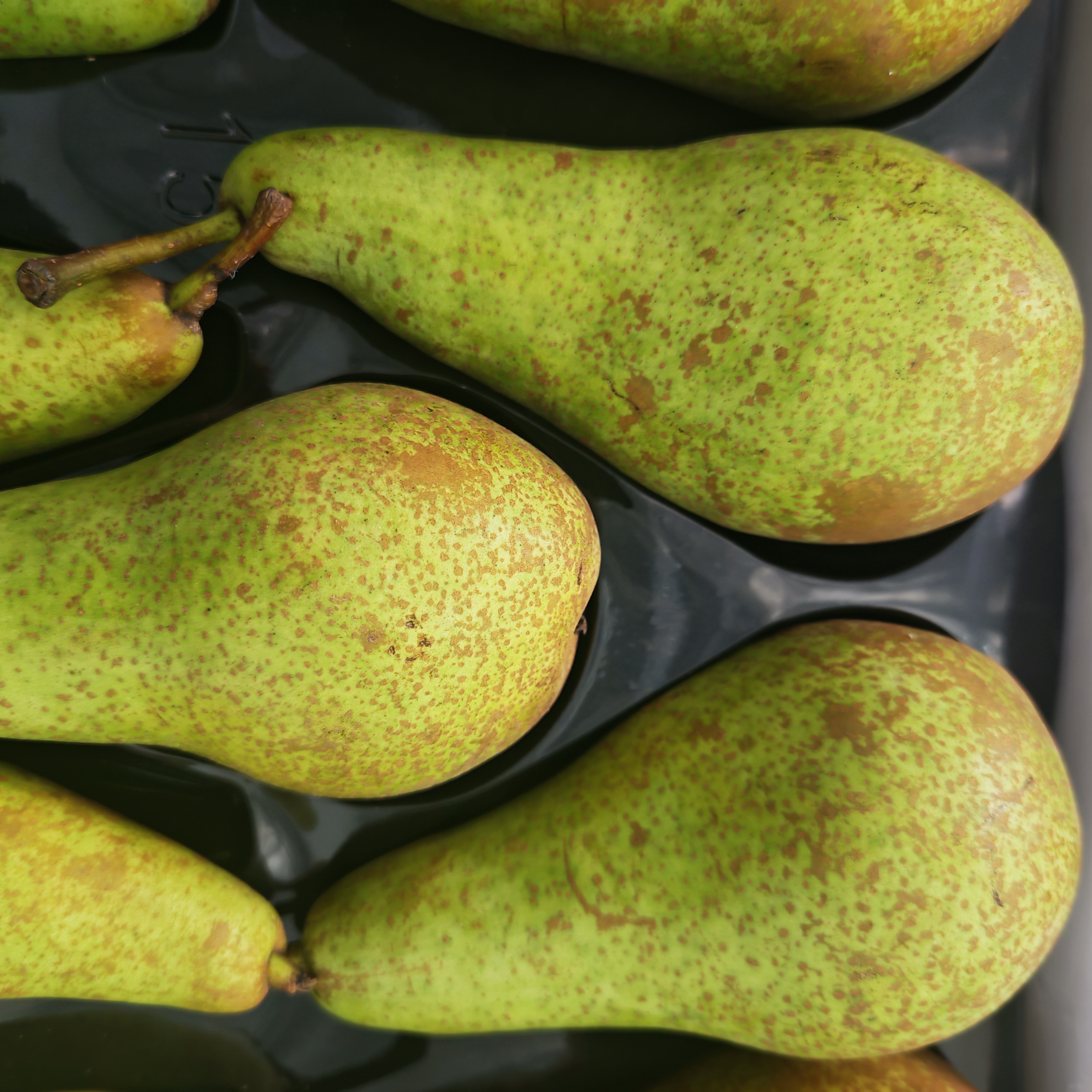 进口啤梨 箱装  净果约7斤 15个