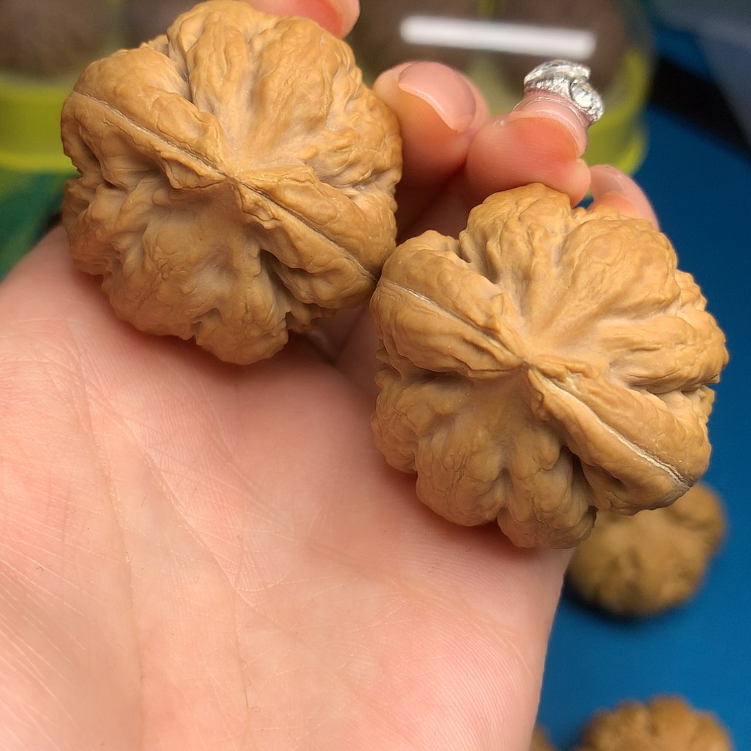 文玩核桃把件闲**致霸王龙