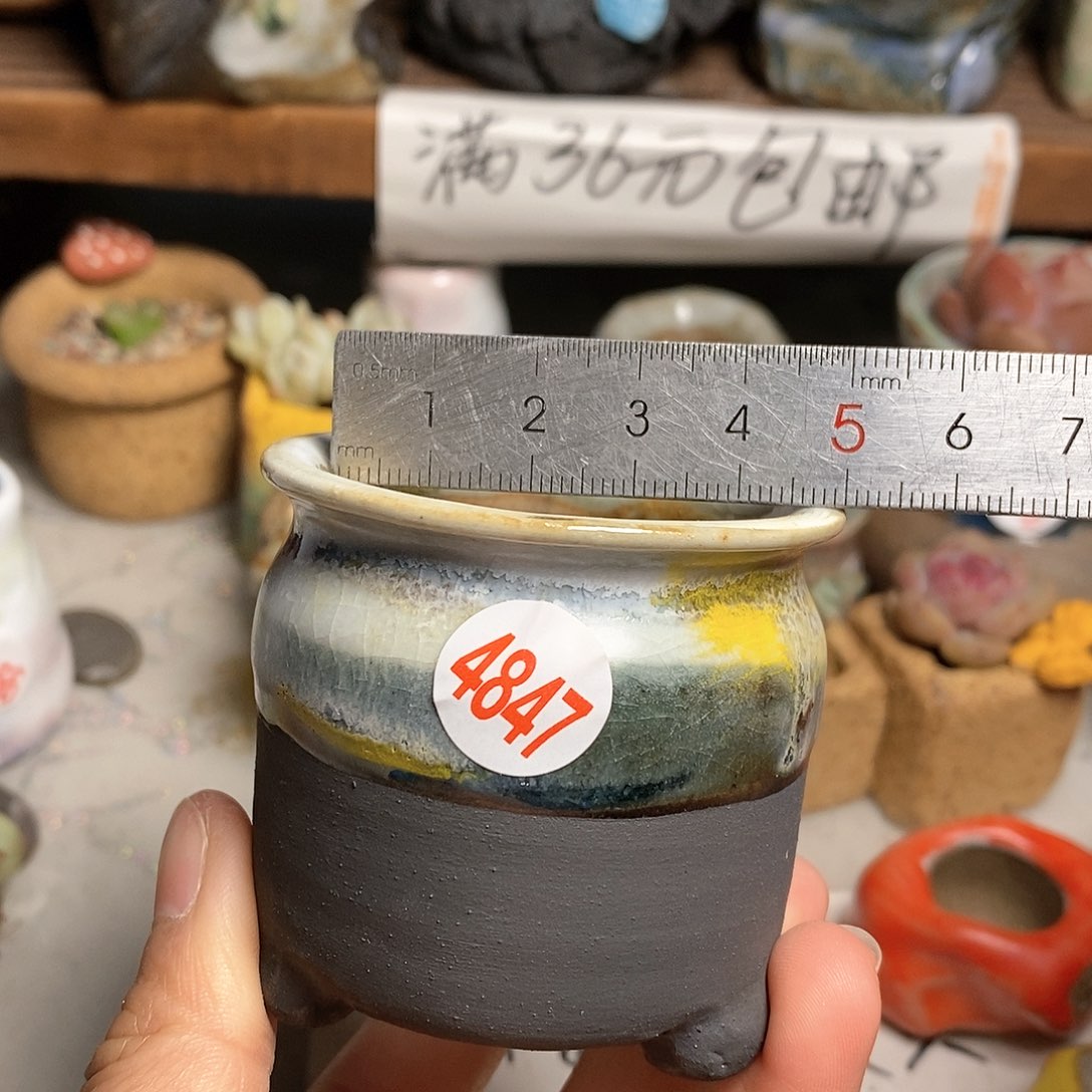 红陶拍5送一个小