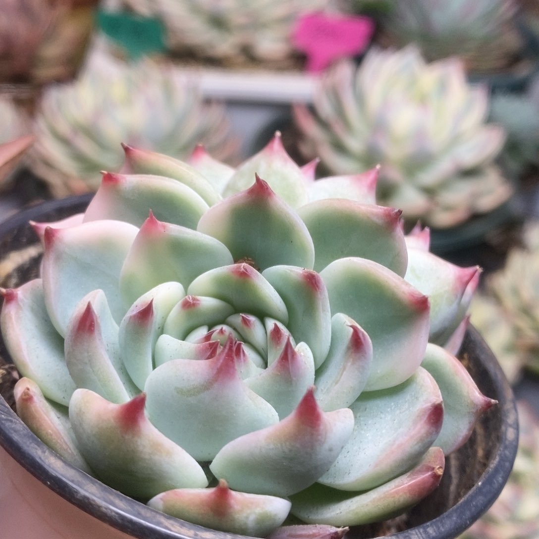 148锦锦锦锦锦锦锦锦