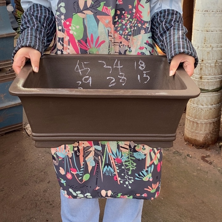 花盆紫砂只顾日更而去也