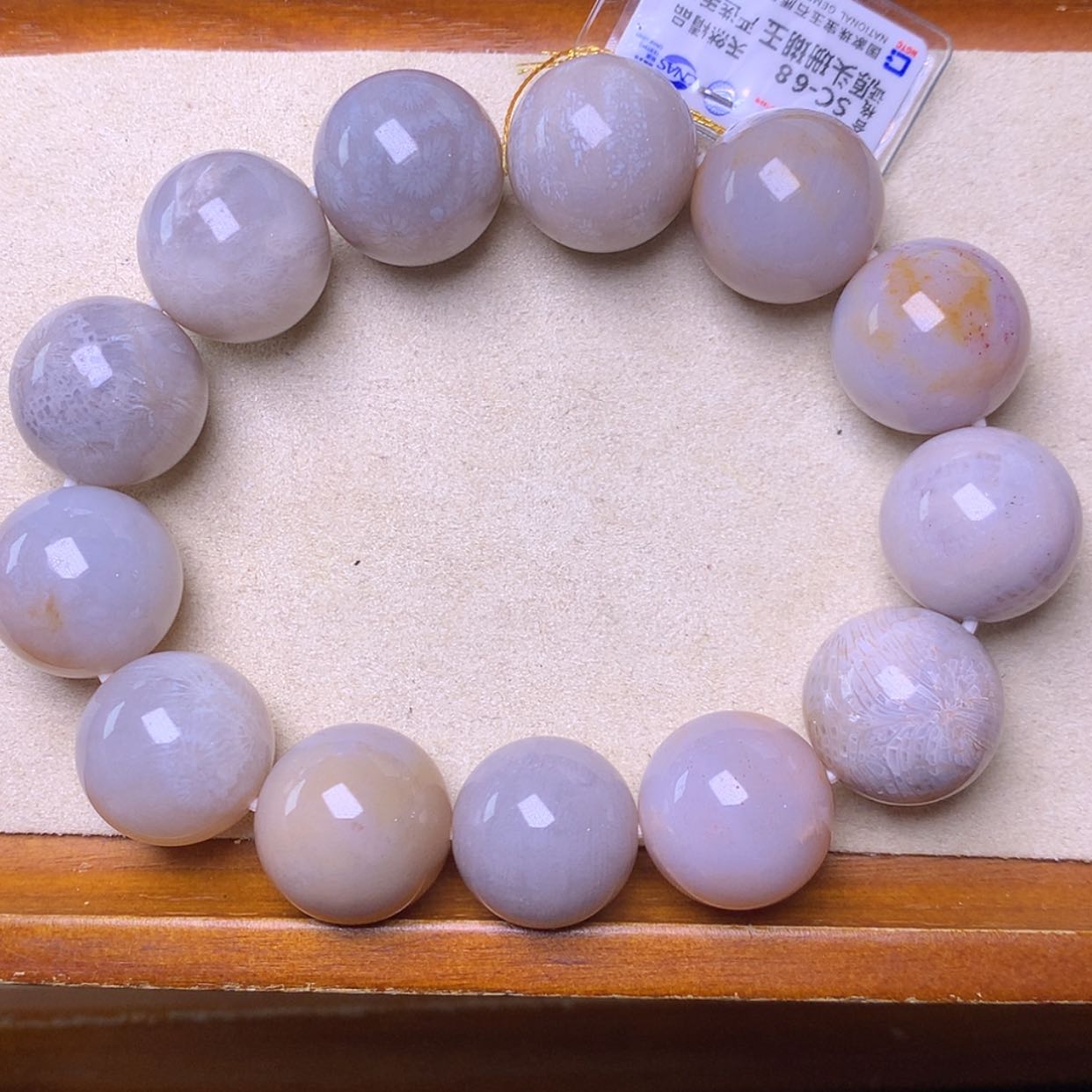 【闪购商品】硅化珊瑚（珊瑚玉）手镯未镶嵌