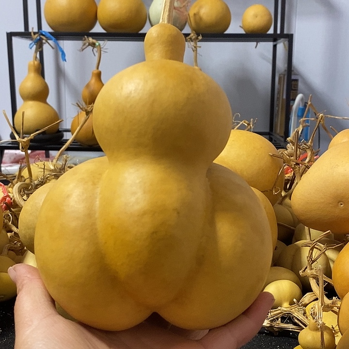 葫芦的颜色是蓝色还是