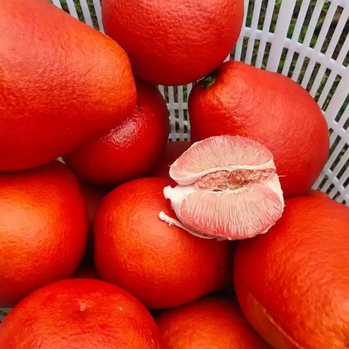 红香妃750克红皮2个