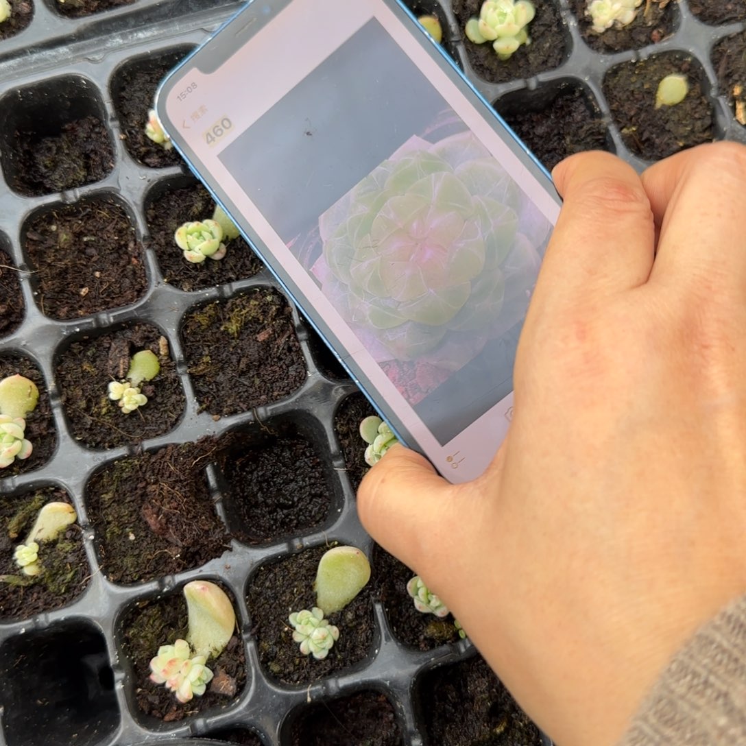 460 穴一个满25包邮