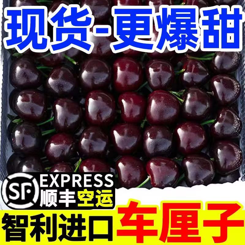 【次日达】年货节智利新鲜车厘子精品拉宾斯J~4J  250克/盒顺丰包邮年货同城送