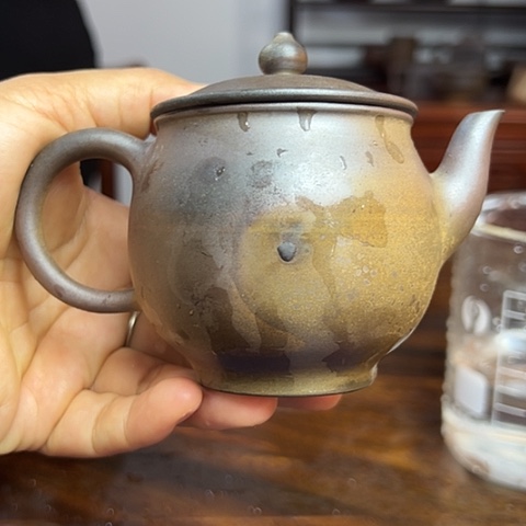 戬谷龙窑柴烧茶壶23
