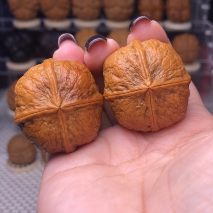 把件文玩核桃35号玲珑骰子35尺