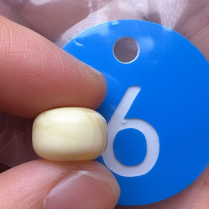 蜜蜡裸石未镶嵌花粉12m m