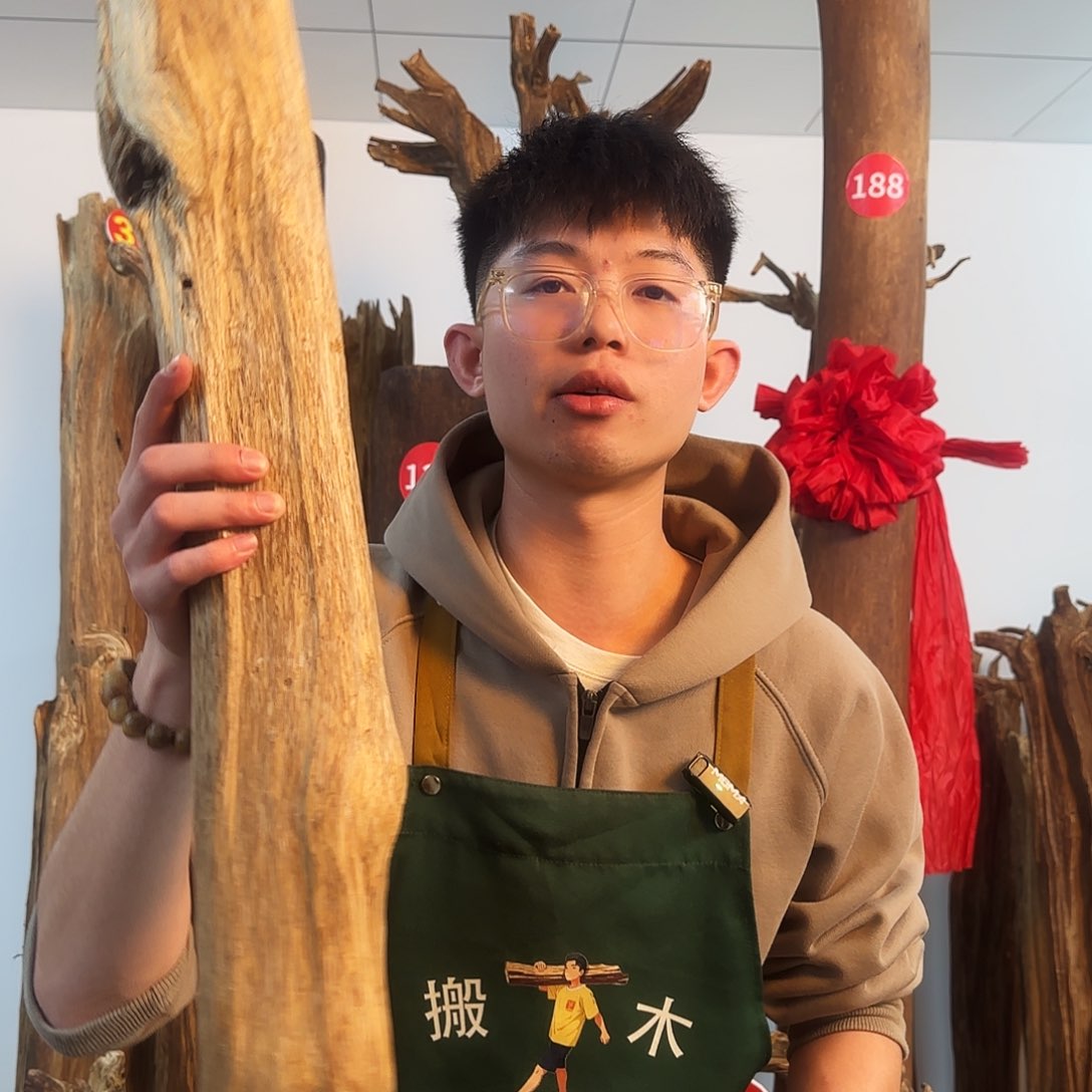 沉香摆件天然沉香原木摆件➕底座