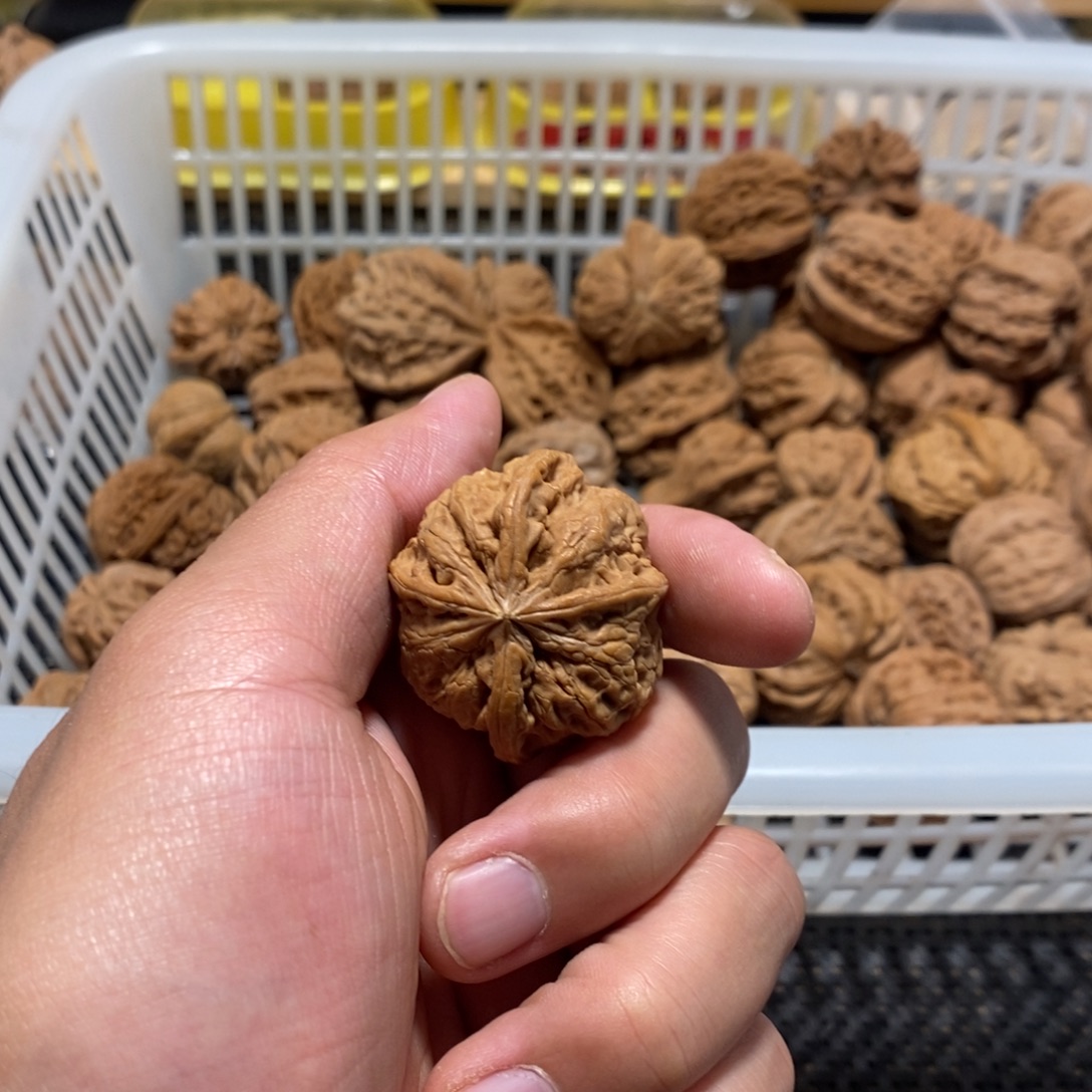 ****饭文玩核桃吊坠核桃异形