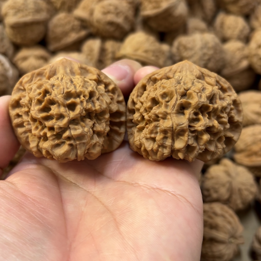 48尺全品无修矮桩官帽