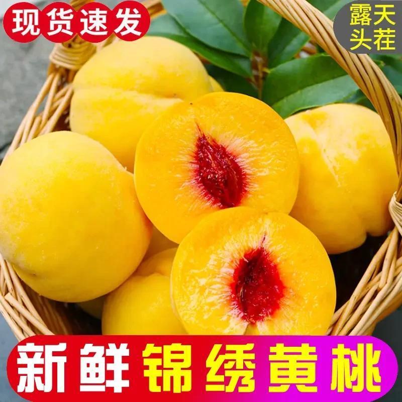 【现摘】湖北锦绣黄桃黄金蜜桃正宗桃子黄桃当季新鲜水果大果5斤
