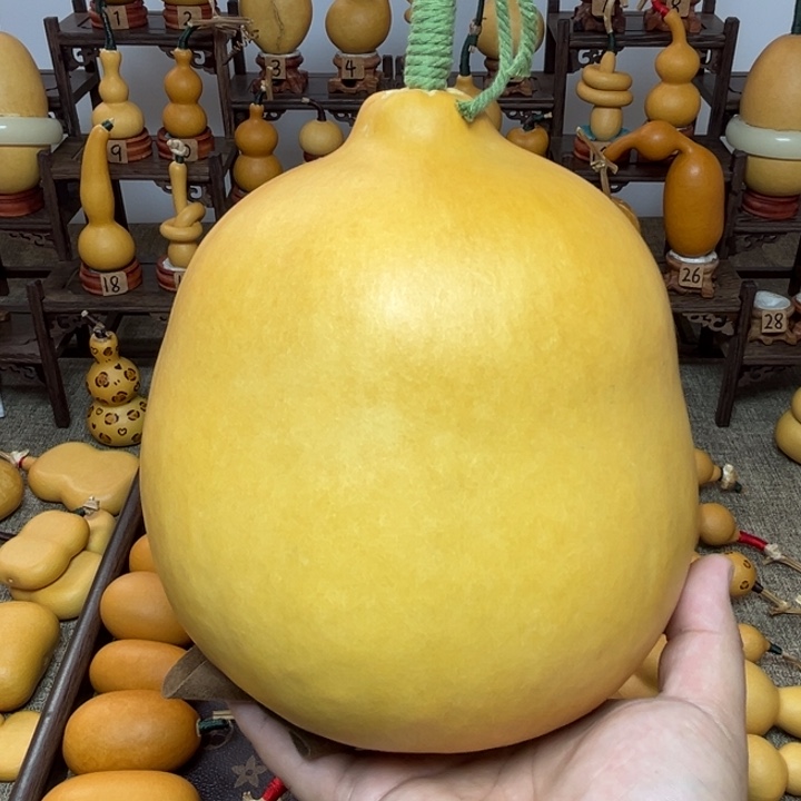 代***姥奶瓶葫芦，直立稳坐，厚皮响籽，皮质细腻