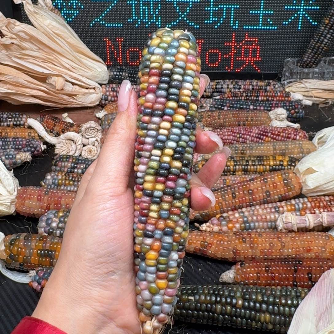 柏香籽/百香籽吊坠一****P