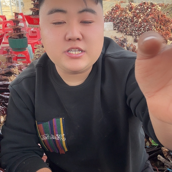 无花朵?**?灵芝花开了