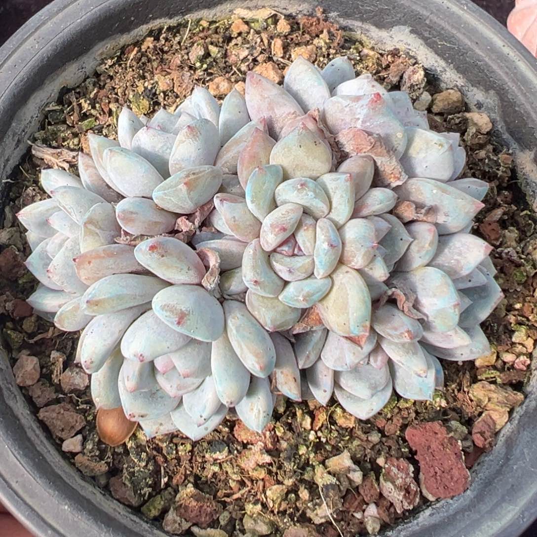 新年快乐 新年快乐