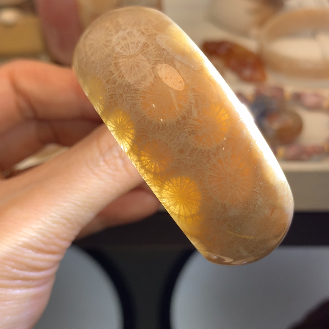 硅化珊瑚（珊瑚玉）手镯未镶嵌53.2口