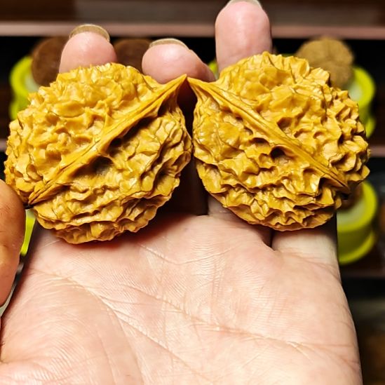 把件文玩核桃龙甲大花精品对高54（7）