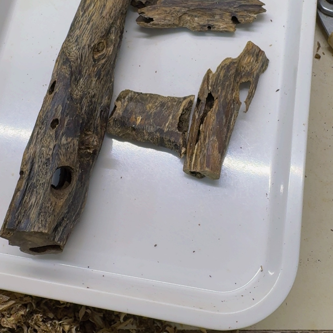 星***炎沉香沉香碎屑莺歌绿虫漏65克