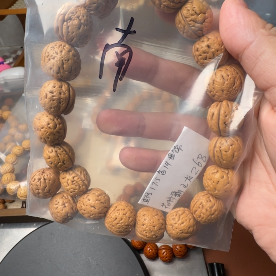 南***风盘锦霸王龙肌肉哈哈哈哈