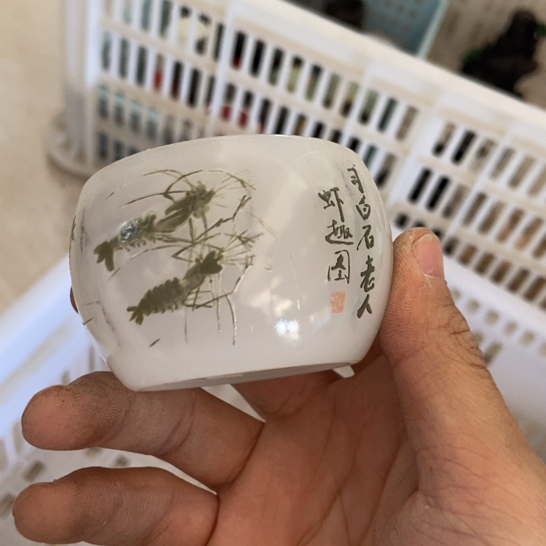 杯直播链接直播链接