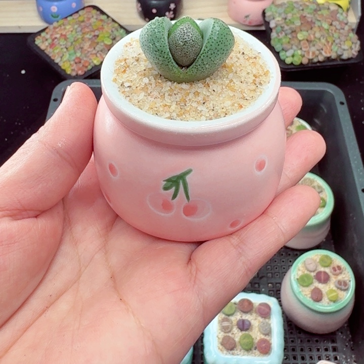 526零下地区记得拍保温箱