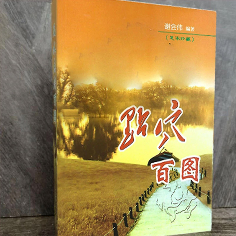 点穴百图394页 图文并茂