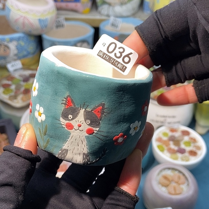 大舅生石花肉锥多肉036