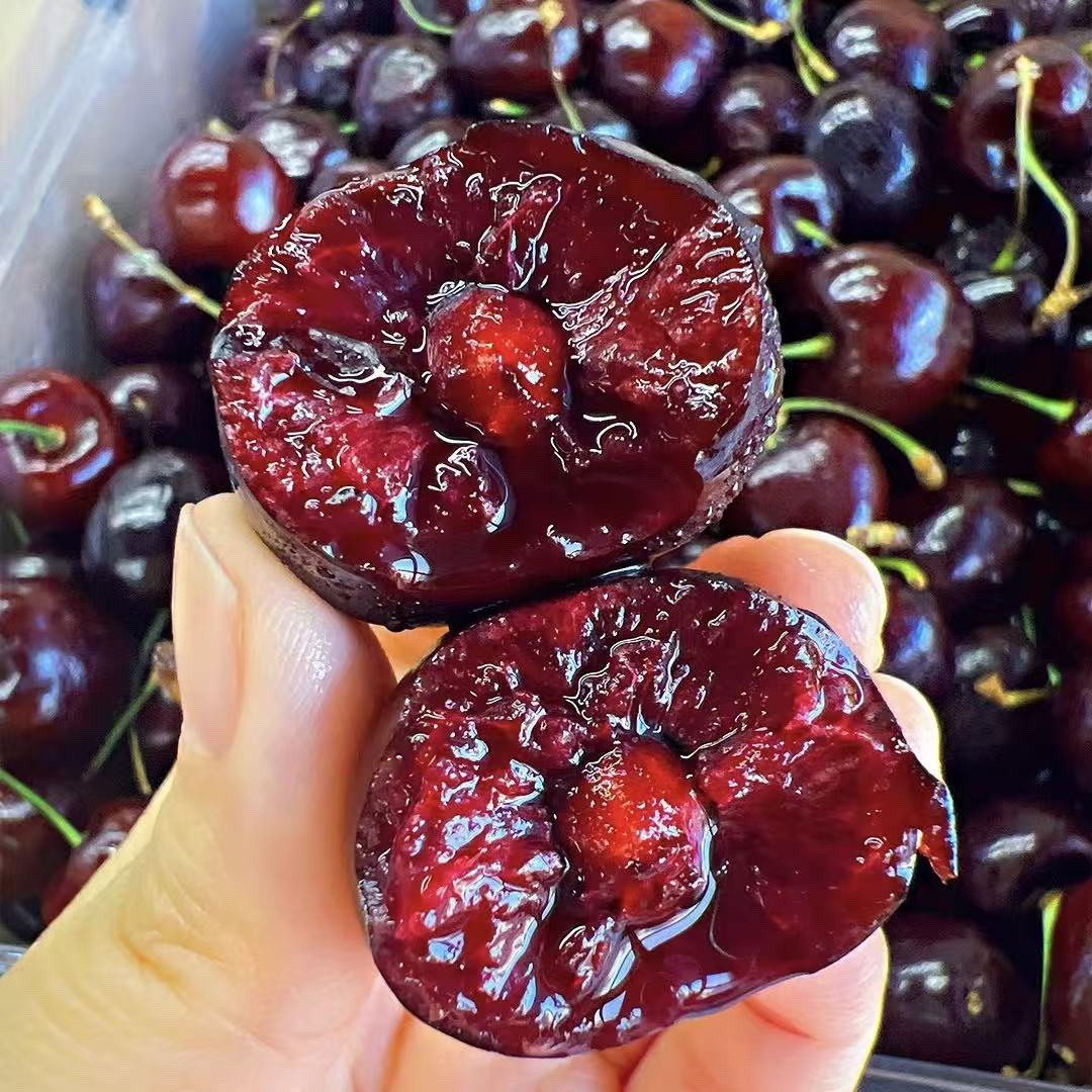 智利车厘子4JD海运桑提娜净重五斤（内附果径卡）京东顺丰包邮桑提娜樱桃智利共和国